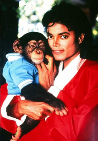 Подробнее о новости «Таика Вайтити расскажет мультбиопик о шимпанзе Майкла Джексона»